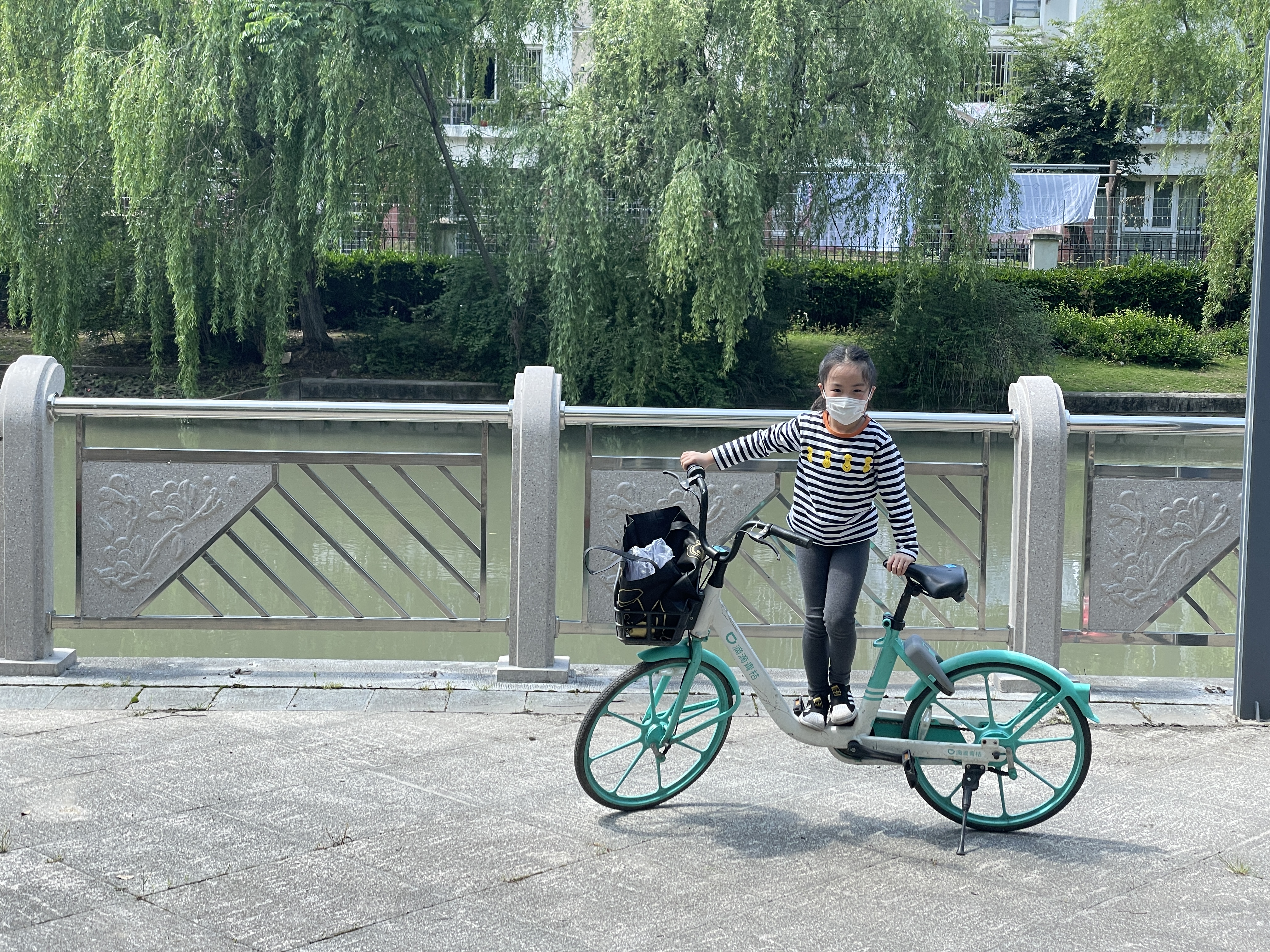 河边玩耍的菠萝